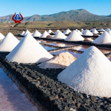 白色または淡黄色の粉末状顆粒CMC鉱業グレード製品 迅速溶解 pH 7-9 迅速溶解性能用